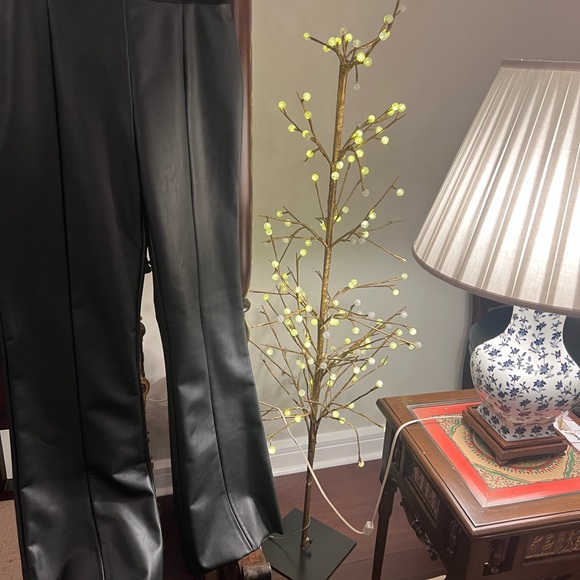 Wolford Jenna slightly cropped leather trousers size 38 - Picture 13 of 15